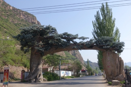 A very cleverly built concrete tree gate, which was kinda random as to why it was there...