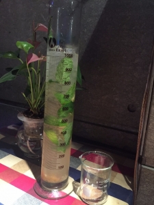 This was my 100 RMB (about £11) lemongrass mojito - which as you can see was an entire litre...!