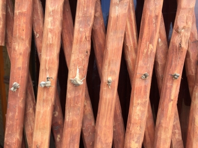 Leather 'pins' in the collapsable trellis which forms the structural component of a ger wall