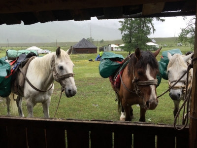A nine day horse trek were leaving as we were arriving - given the weather I feel for them!