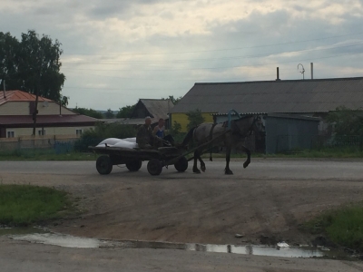 Horse and cart delivery service