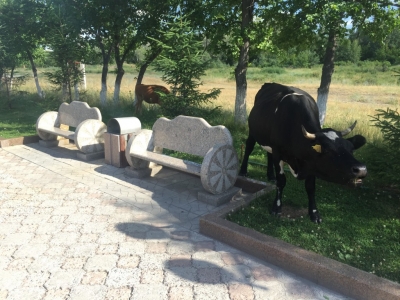 "Stronger than Death Monument" - visiting cows
