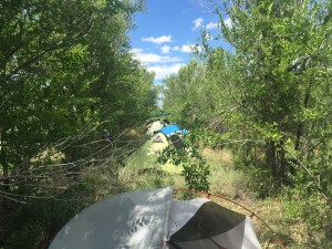 Camping under the trees in the shade!