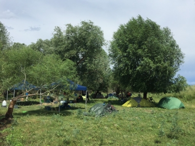 Campsite under the trees