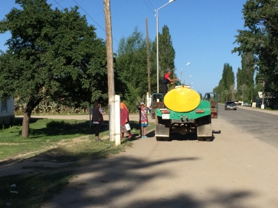 Kyrgyz Fontera collecting milk