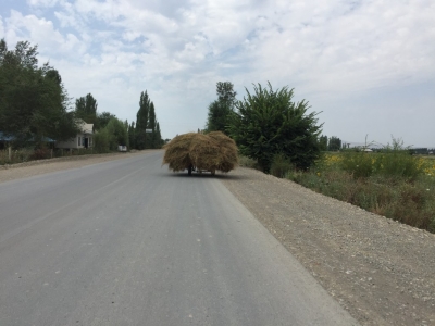A mobile haystack...