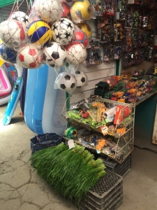 Soccer ball, toys, inflatable paddling pool, oh and don't forget your greens...!