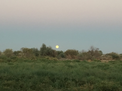 Other end of the day - full moon rising