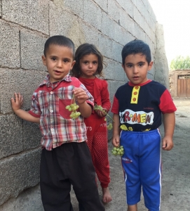 The mobile greengrocer had just given these kids the grapes they have - they were a bit uncertain of me, but then when they saw the photo broke out into smiles, but of course I couldn't take a photo of that because they were looking at the photo...