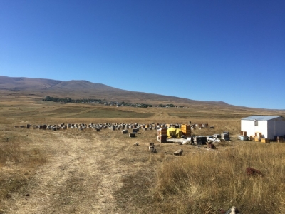 Some of the many beehives on the plains around Kars
