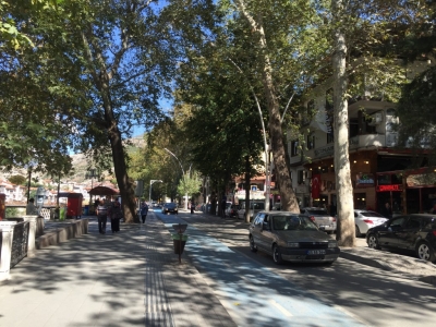 Leafy tree-lined main street of Amasya