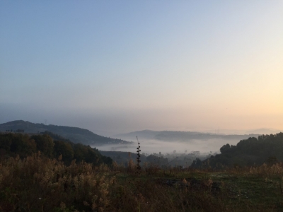 Misty morning valley
